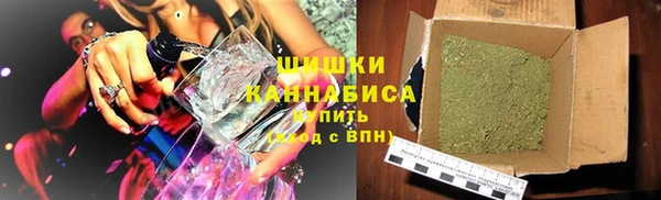 прущие грибы Алексин