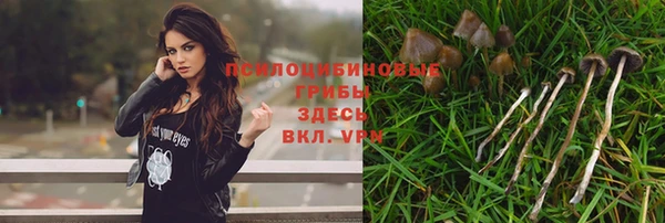 ПСИЛОЦИБИНОВЫЕ ГРИБЫ Алзамай