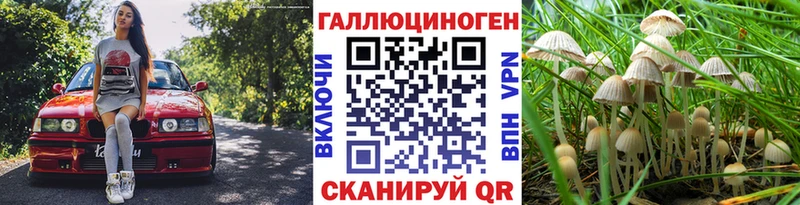 Псилоцибиновые грибы ЛСД Анадырь
